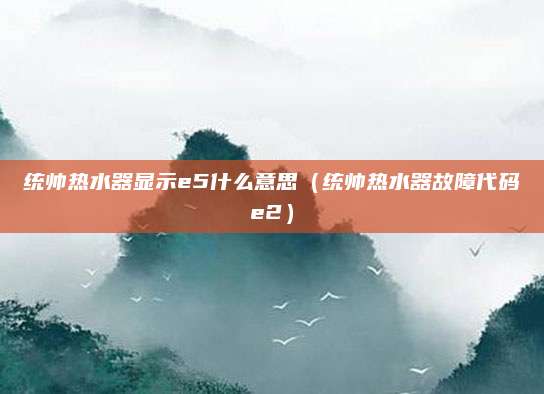 统帅热水器显示e5什么意思(统帅热水器故障代码e2)