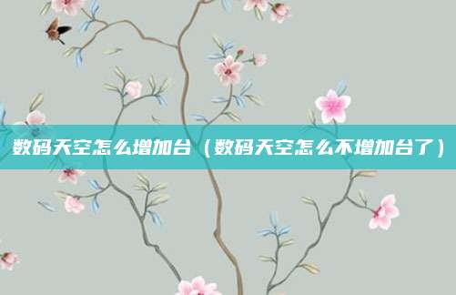 数码天空怎么增加台(数码天空怎么不增加台了)