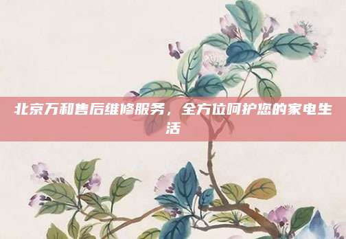 北京万和售后维修服务,全方位呵护您的家电生活