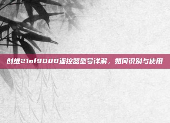 创维21nf9000遥控器型号详解,如何识别与使用