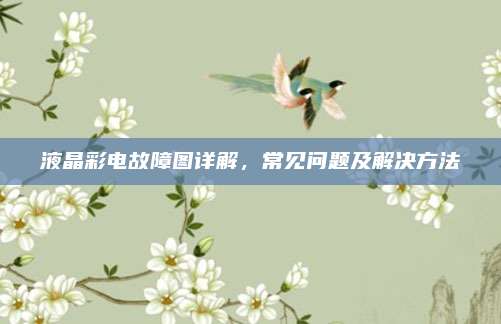 液晶彩电故障图详解,常见问题及解决方法
