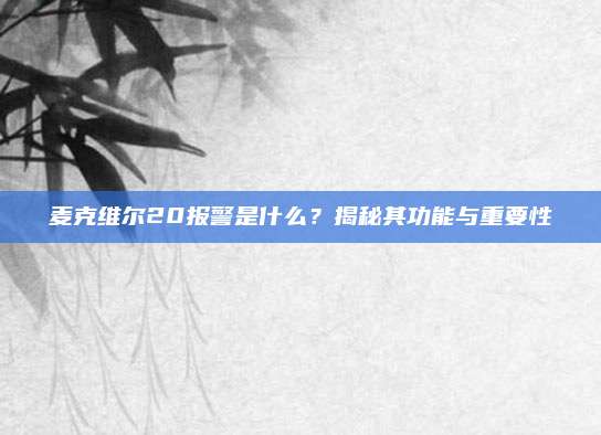 麦克维尔20报警是什么?揭秘其功能与重要性