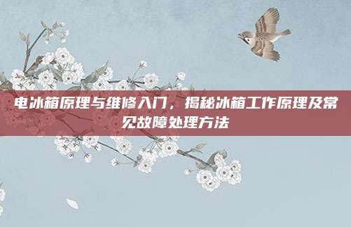 电冰箱原理与维修入门,揭秘冰箱工作原理及常见故障处理方法