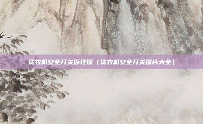 洗衣机安全开关原理图(洗衣机安全开关图片大全)