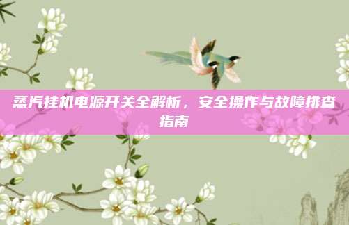 蒸汽挂机电源开关全解析,安全操作与故障排查指南