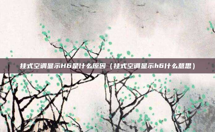 挂式空调显示H6是什么原因（挂式空调显示h6什么意思）