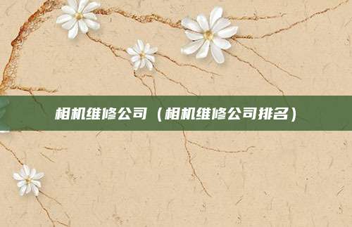 相机维修公司（相机维修公司排名）
