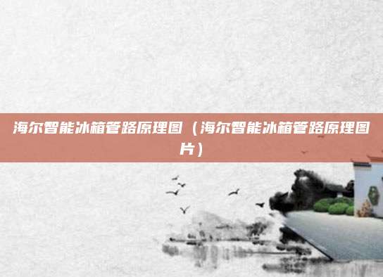 海尔智能冰箱管路原理图（海尔智能冰箱管路原理图片）