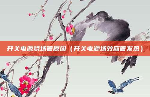 开关电源烧场管原因(开关电源场效应管发热)