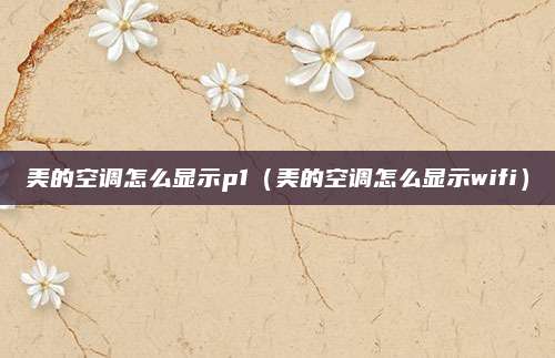 美的空调怎么显示p1(美的空调怎么显示wifi)