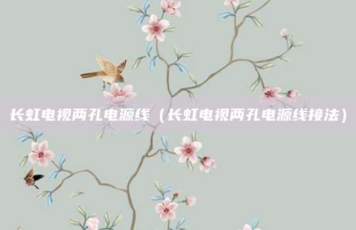 长虹电视两孔电源线（长虹电视两孔电源线接法）