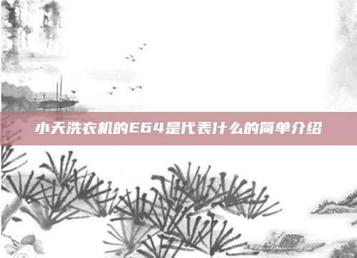 小天洗衣机的E64是代表什么的简单介绍