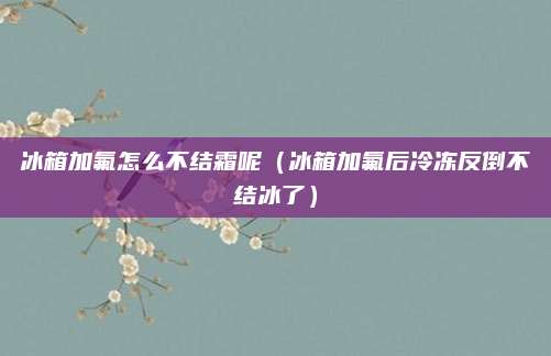 冰箱加氟怎么不结霜呢（冰箱加氟后冷冻反倒不结冰了）