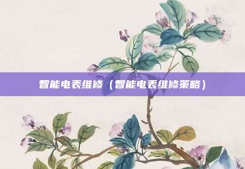 智能电表维修（智能电表维修策略）
