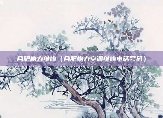 合肥格力维修（合肥格力空调维修电话号码）
