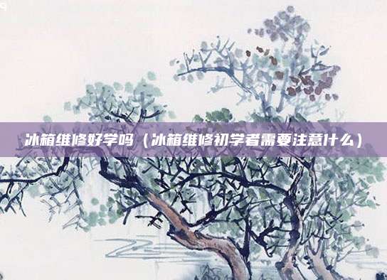 冰箱维修好学吗（冰箱维修初学者需要注意什么）
