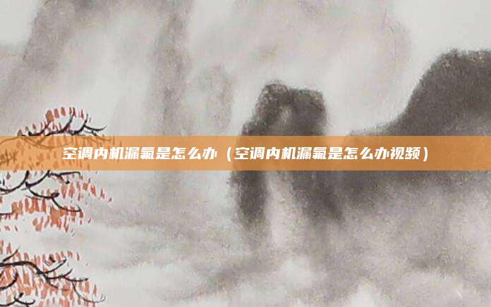 空调内机漏氟是怎么办（空调内机漏氟是怎么办视频）