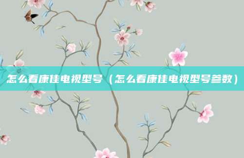 怎么看康佳电视型号（怎么看康佳电视型号参数）