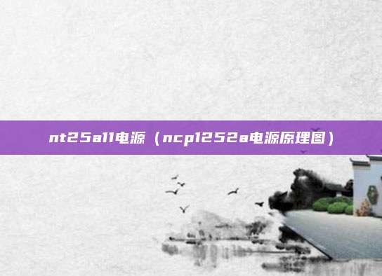 nt25a11电源（ncp1252a电源原理图）