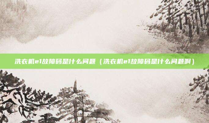 洗衣机e1故障码是什么问题（洗衣机e1故障码是什么问题啊）