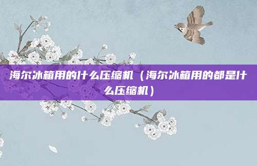 海尔冰箱用的什么压缩机(海尔冰箱用的都是什么压缩机)
