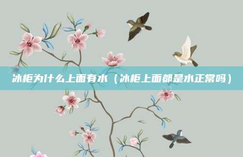 冰柜为什么上面有水（冰柜上面都是水正常吗）