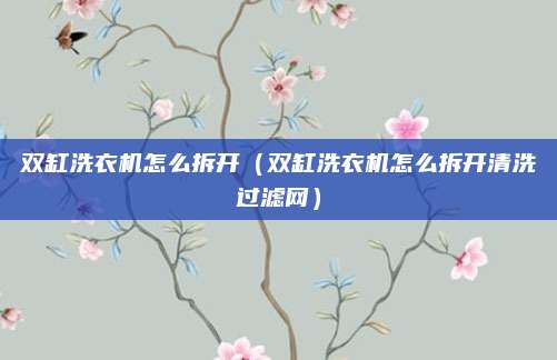 双缸洗衣机怎么拆开(双缸洗衣机怎么拆开清洗过滤网)