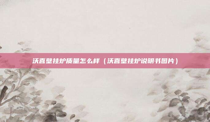沃喜壁挂炉质量怎么样（沃喜壁挂炉说明书图片）