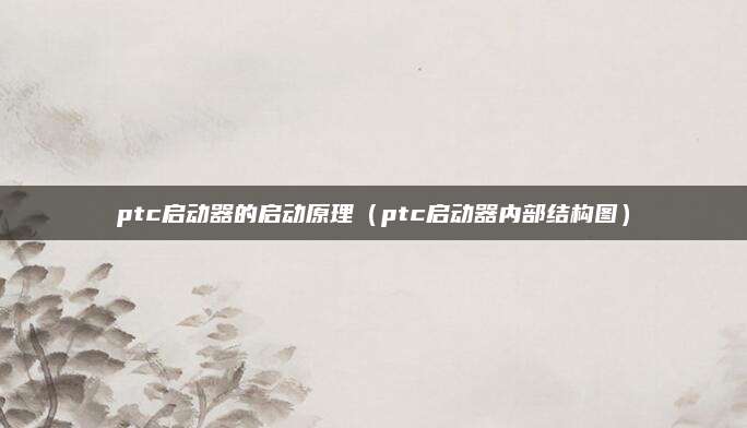 ptc启动器的启动原理（ptc启动器内部结构图）