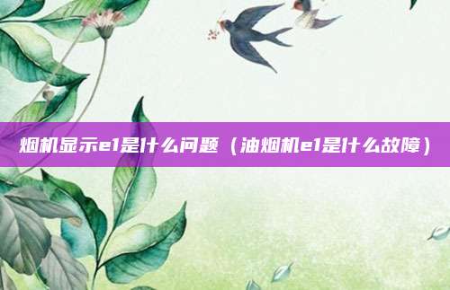 烟机显示e1是什么问题（油烟机e1是什么故障）