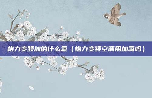 格力变频加的什么氟(格力变频空调用加氟吗)