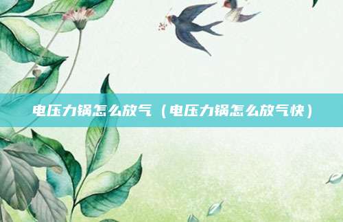 电压力锅怎么放气(电压力锅怎么放气快)