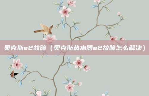 奥克斯e2故障（奥克斯热水器e2故障怎么解决）