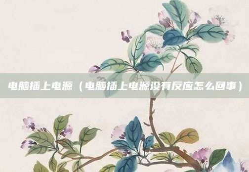 电脑插上电源(电脑插上电源没有反应怎么回事)