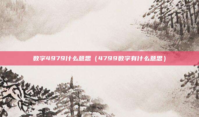 数字4979什么意思（4799数字有什么意思）