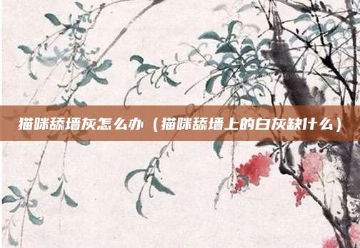 猫咪舔墙灰怎么办(猫咪舔墙上的白灰缺什么)