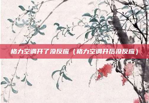 格力空调开了没反应(格力空调开后没反应)