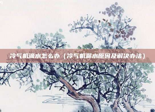 冷气机滴水怎么办（冷气机漏水原因及解决办法）