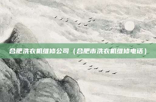 合肥洗衣机维修公司(合肥市洗衣机维修电话)