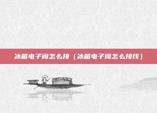 冰箱电子阀怎么接(冰箱电子阀怎么接线)