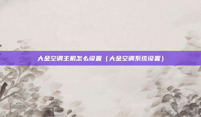大金空调主机怎么设置（大金空调系统设置）