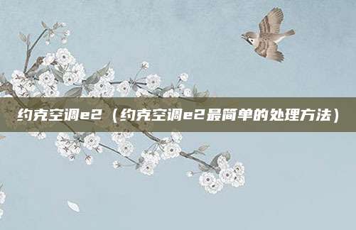 约克空调e2（约克空调e2最简单的处理方法）