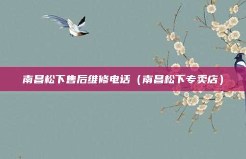 南昌松下售后维修电话（南昌松下专卖店）