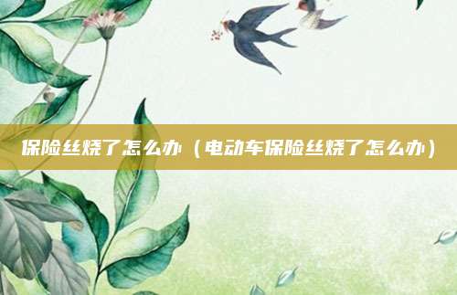 保险丝烧了怎么办（电动车保险丝烧了怎么办）