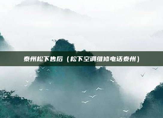 泰州松下售后(松下空调维修电话泰州)