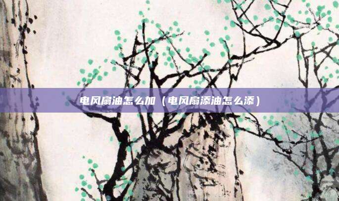 电风扇油怎么加(电风扇添油怎么添)