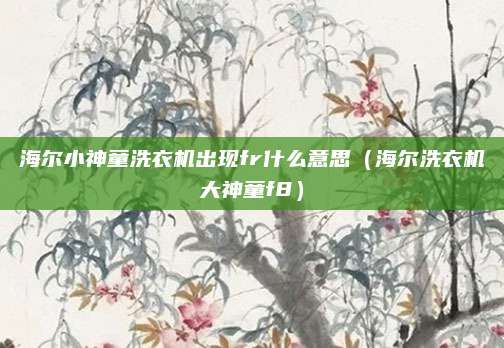 海尔小神童洗衣机出现fr什么意思(海尔洗衣机大神童f8)