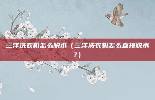 三洋洗衣机怎么脱水（三洋洗衣机怎么直接脱水?）