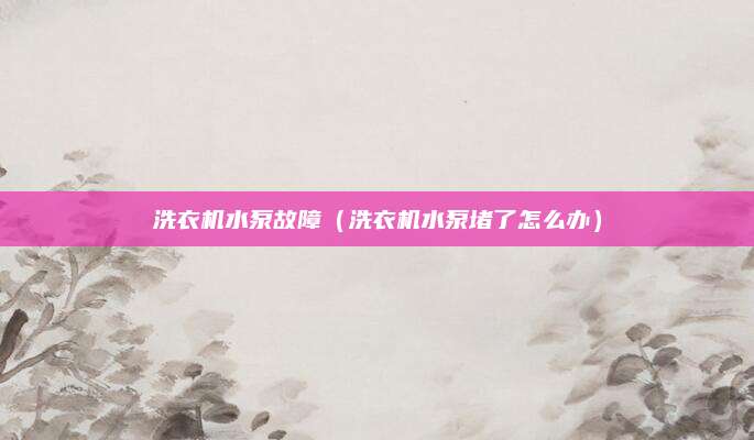 洗衣机水泵故障（洗衣机水泵堵了怎么办）