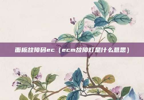 面板故障码ec（ecm故障灯是什么意思）